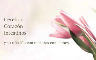 Cerebro-corazón-intestinos su relación con nuestras emociones.